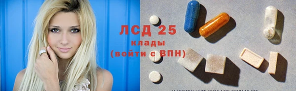ГАЛЛЮЦИНОГЕННЫЕ ГРИБЫ Чердынь