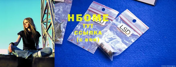 сатива Аркадак
