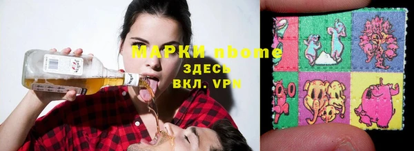 сатива Аркадак